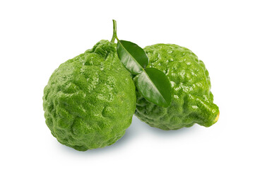 Kaffir lime fruits isolated on white background.