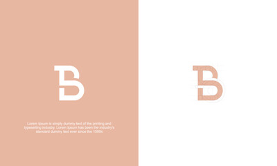 illustration vector graphic logo designs, B S BS SB monogram logo, modern simple geometric style