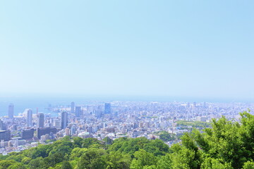 Naklejka premium Cityscape, Forest, Skyscraper