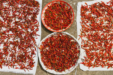 red Pepper on the street drying in thailand spicy food