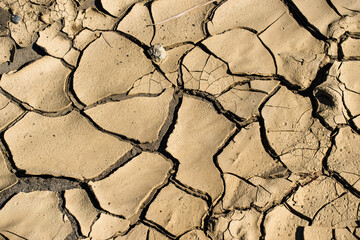 干ばつ・水資源・水不足