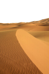 Fototapeta na wymiar Sand dunes of Sahara Desert