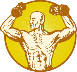 Fototapeta male human anatomy body builder flexing muscle obraz