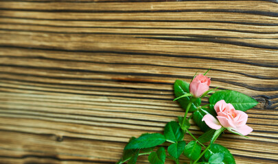 Two rose blossoms on a wooden background with space for text. A concept mockup for an obituary.                            