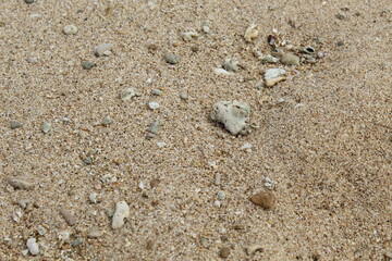 Fototapeta na wymiar many groups of sand on the beach