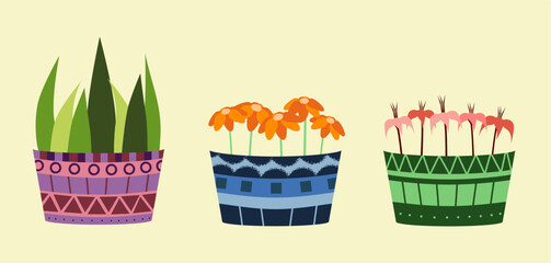 pack of stylized illustration of plants in pot, consist of aloe vera, daisy, and shoeblack plant - obrazy, fototapety, plakaty