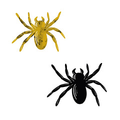 Halloween pattern with spider and cobweb. Hand drawn sketch style. Halloween Vector design elements.
