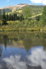 Autumn reflection on water
