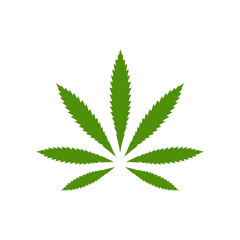 cannabis leaf isolated on white
