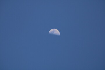 Half Moon in the Blue Sky Over Texas