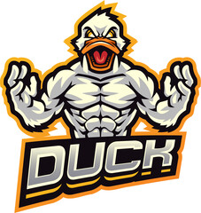 Duck fighter esport mascot