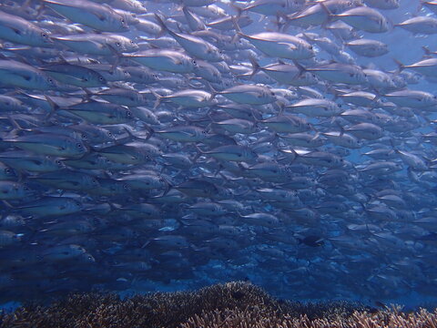 jackfish storm