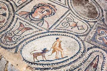Fototapeta na wymiar A mosaic in the House of the Labourers of Hercules at the ancient Roman city of Volubilis in Morocco. It shows Hercules with his pet Cerberus, a three-headed dog with a snake tail.