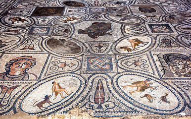 A mosaic at Volubilis in Morocco which includes Hercules capturing and returning with his pet...