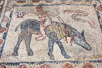 The House of Acrobat mosaic at Volubilis in Morocco. Volubilis was the capital of the Roman province of Mauretania.