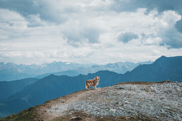 Berglandschaft in den Alpen