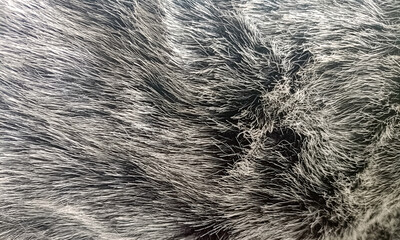 Beautiful abstract gray fur background texture close-up