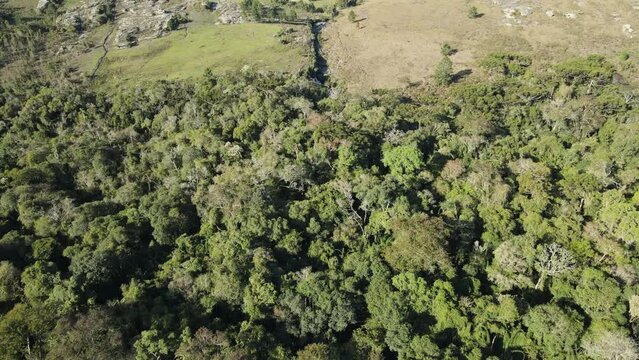 Forest and field landscape, Campos Gerais National Park, Brazil, drone view