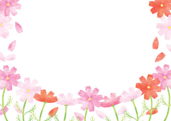 Obraz na płótnie Canvas 花びらが舞い散る秋桜のフレーム 横