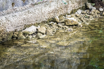Rebord en béton avec des pierres sur le bord de l'étang