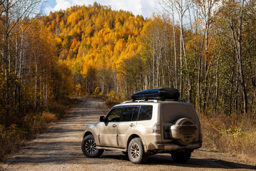 Dirty SUV on scenic autumn road in the forest