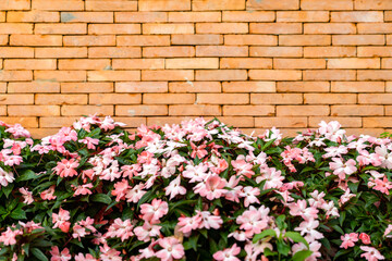 Fototapeta na wymiar The backdrop of Brick wall with pink - white flower on the bottom for architecture and nature combination background story.