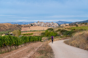 Cirauqui village, Navarra, Spain; September 07, 2022; Hiker on the French Way of Saint James.