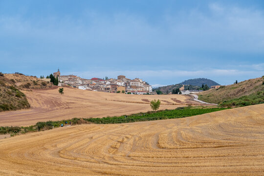 Agricultural fields of cereal, vineyards and town of Cirauqui, Navarra, Spain. Santiago's road.