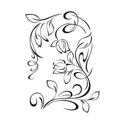 ornament 2464. decorative element with stylized flower buds on stems with leaves and swirls. graphic decor