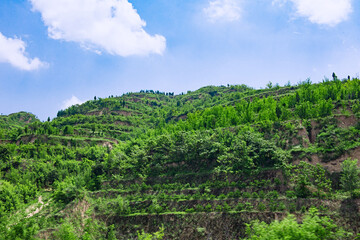 Fototapeta na wymiar landscape hill with blue sky and clouds
