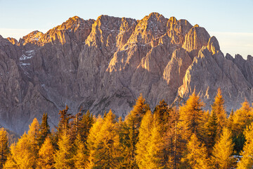 Autumn colors on the larch trees by a mountain peak