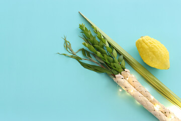 Jewish festival of Sukkot. Traditional symbols (The four species): Etrog (citron), lulav (palm branch), hadas (myrtle), arava (willow) © tomertu