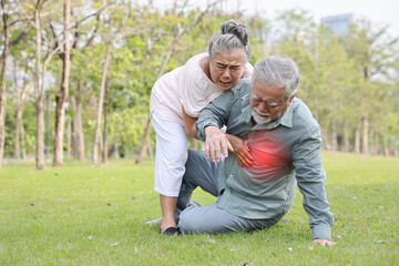 Asian senior man standing and suffering from chest pain or heart attack from walking accident in garden outdoor. Elderly woman caregiver consoling and help him while hugging support. First aid concept