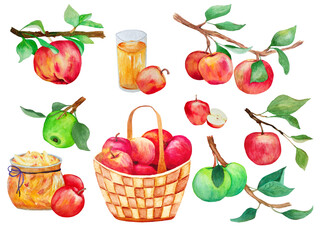set of hand draw watercolor red and green apples