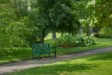 wooden bench in the park, summer walk and outdoor recreation