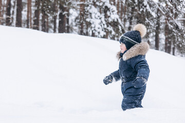 Fototapeta na wymiar Child walking in snowy pine forest. Little kid boy having fun outdoors in winter nature. Christmas holiday. Cute toddler boy in blue overalls and knitted scarf and cap playing in park.
