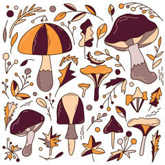 Autumn set of elements of mushrooms, branches, leaves and berries. Hand drawn baby vector illustration in doodle style. Design for cards, stickers, prints