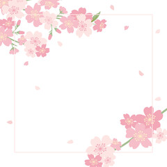 Cherry blossom flower frame illustration	
