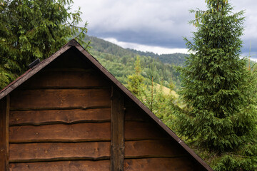 roofs of houses in the forest