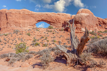 "Red Rock Arches"