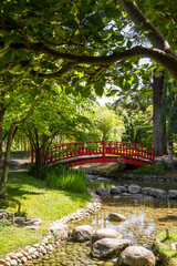 Fototapeta na wymiar Traditional red wooden bridge on a japanese garden pond