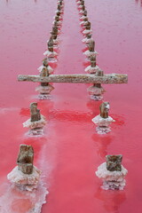 Pink salt lake Sasyk-Sivash, Crimea peninsula