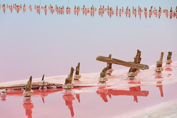 Pink salt lake Sasyk-Sivash, Crimea peninsula	 - 534131747
