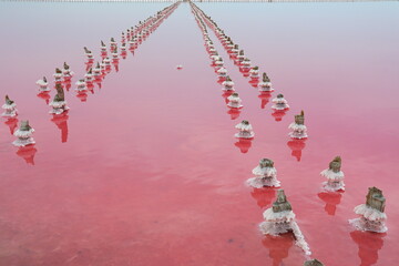 Pink salt lake Sasyk-Sivash, Crimea peninsula	 - 534131778