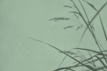 Abstract grass leaves shadows on gray green concrete wall texture with roughness and irregularities. Abstract trendy nature concept background. Copy space for text overlay, poster mockup flat lay 
