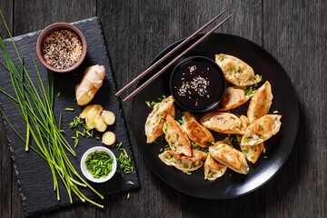 gyoza, wonton wrappers stuffed with pork, cabbage