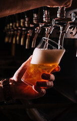Close-up of barman hand at beer tap pouring a draught lager beer