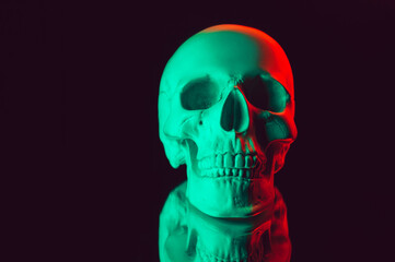 human skull with a mirror reflection with colored neon light on a black background