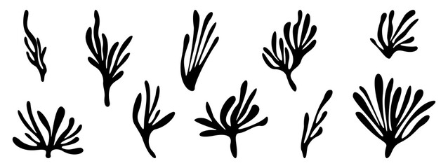 Black silhouettes of tropical plants. Set of 10 isolated abstract branches on a white background. Use as design element, sticker, tattoo, decoration, etc.