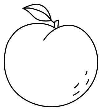 Peach. Fruit Sketch. Black Line Icon. Illustration For Coloring Book